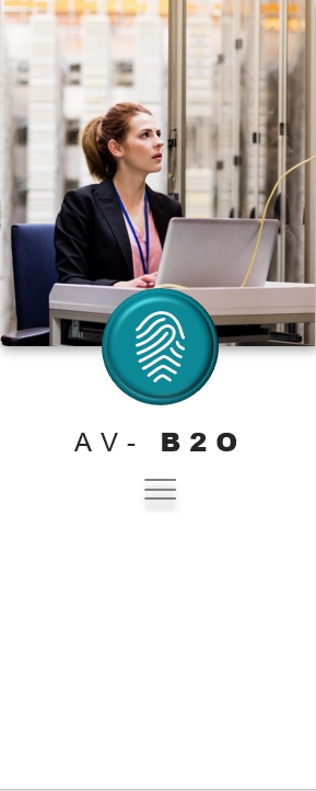 avb20.jpg